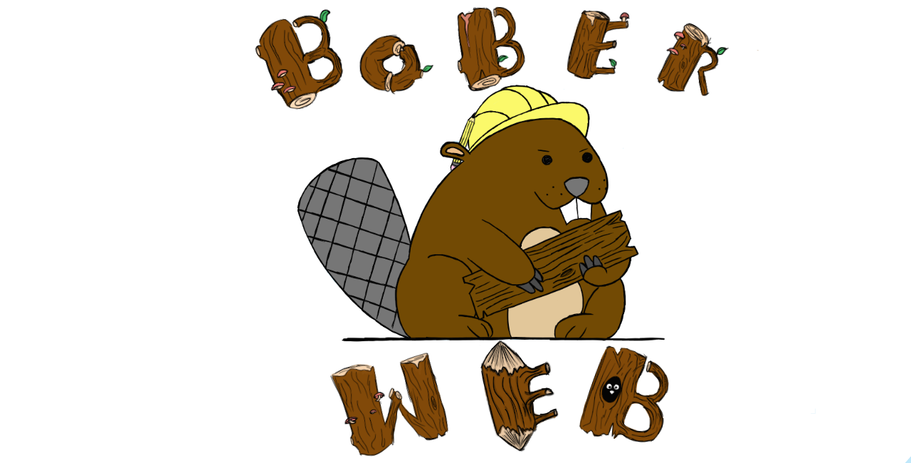 Bober Web Logo